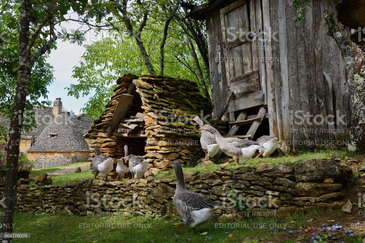 Studio Fontaine d’amour Sarlat Extérieur photo